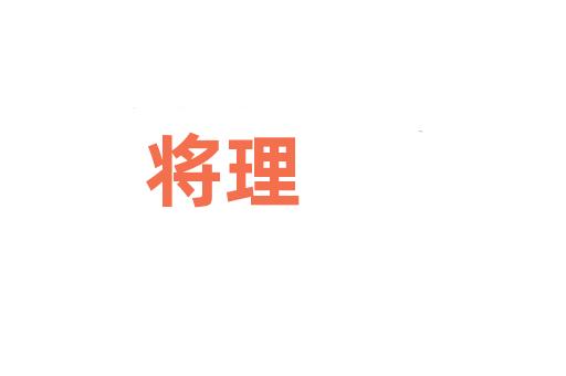 将理