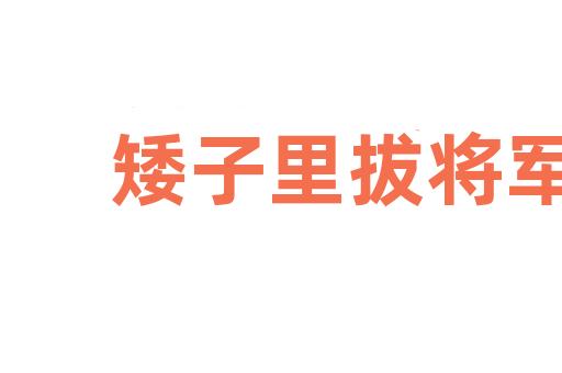 矮子里拔将军