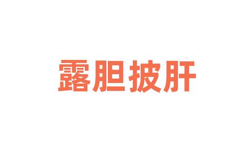 露胆披肝